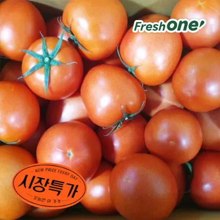 프레시원 완숙 토마토 (1~2번과, 20~25과 5Kg/BOX)