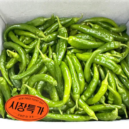 ★매일시장특가★ 아삭이고추(상 10KG/BOX) 오이고추