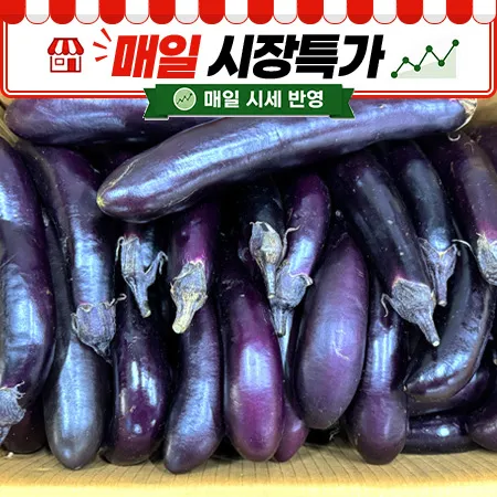★매일시장특가★ 가지 (국내산, 8Kg/BOX)