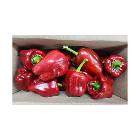 ★매일시장특가★ 홍피망 (실속, 1Kg/EA) 못난이 이미지