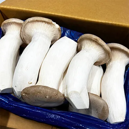 새송이버섯 (국산 2Kg/BOX)
