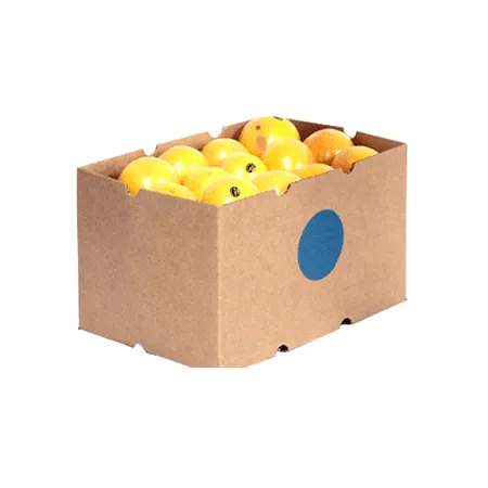 자몽(40~50과 15Kg/BOX)