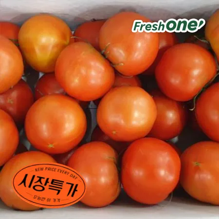 프레시원 완숙 토마토 (2~3번과, 25-33과/5Kg)