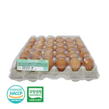 ★초특가★ 계란(무항생제_대란_52g*30입 1.56Kg/PAC)/국내산