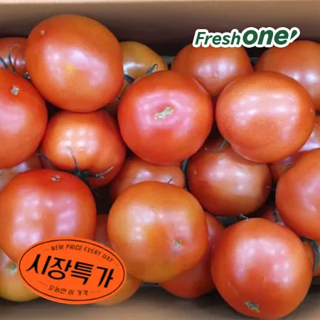 프레시원 완숙 토마토 (특과, 15-20과/5KG)