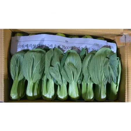 청경채(상 한국청과 179번 4Kg/BOX)