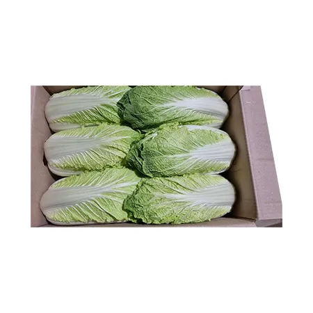 ★매일시장특가★ 알배기배추 (실속 12-16입내외 7Kg/BOX) 초특가 이미지