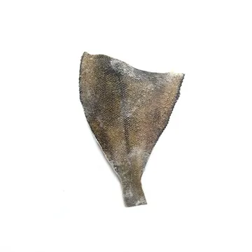 가자미(100~150g/마리 KG)