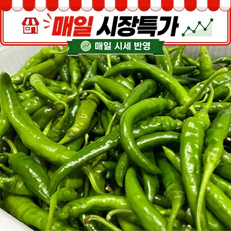 ★매일시장특가★ 청양고추(국내산, 상, 10Kg/BOX)