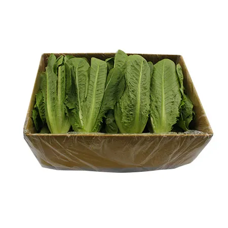 통로메인(2Kg/BOX)