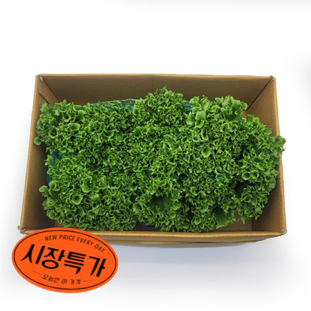 ★매일시장특가★ 프릴아이스 2Kg/BOX 초특가 유러피언 농산물 유럽 유러피안 유로피안