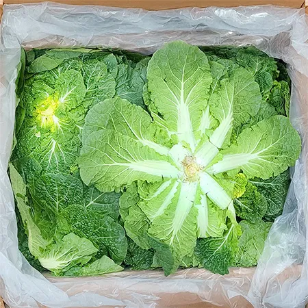 ★매일시장특가★ 봄동 15Kg/BOX 이미지