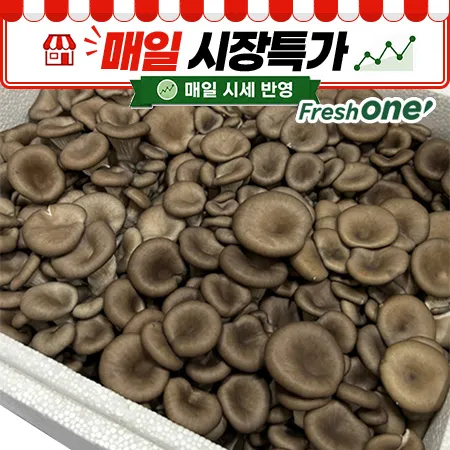 ★매일시장특가★ 프레시원 느타리버섯(상 2Kg/BOX)