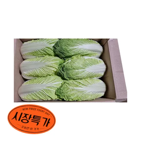 ★매일시장특가★ 알배기배추 (실속 12-16입내외 7Kg/BOX) 초특가