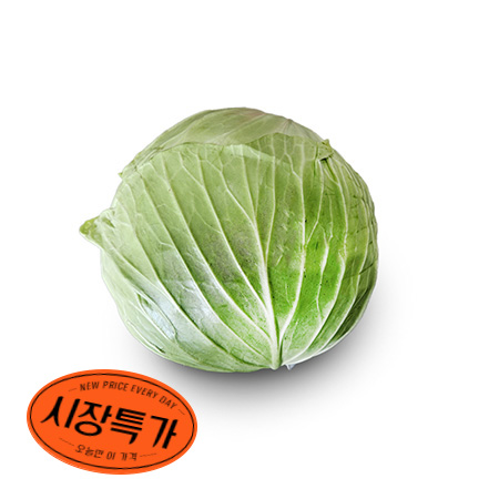★매일시장특가★ 양배추 1통 중국산 2kg 내외 양배추