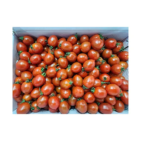 ★매일시장특가★ 대추방울토마토(15~25g/개 5Kg/BOX)