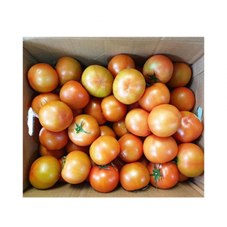 토마토(완숙_20~25과 5Kg/BOX)/국내산