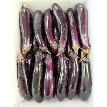 가지(상 강서청과 176번 8Kg/BOX)