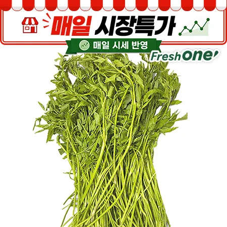 ★매일시장특가★ 프레시원 돌미나리(상 500g/EA) 미나리