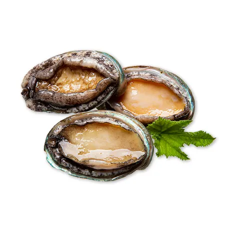 전복 1kg ( 생물_15~18마리/kg ) 이미지