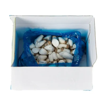총알새송이버섯(상품 2Kg/EA)