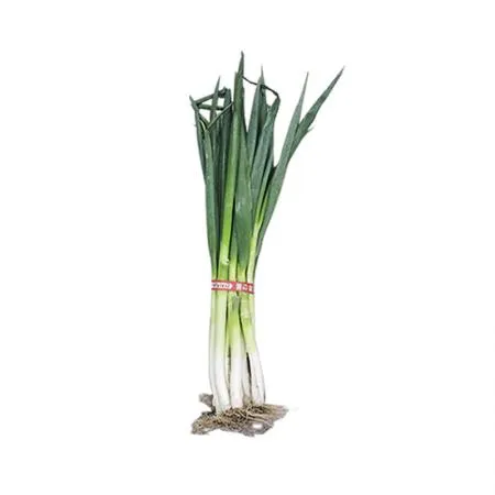흙대파 (상, 1단, 국산 900g/EA)