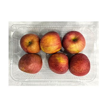 사과(5~6개 1Kg/EA)