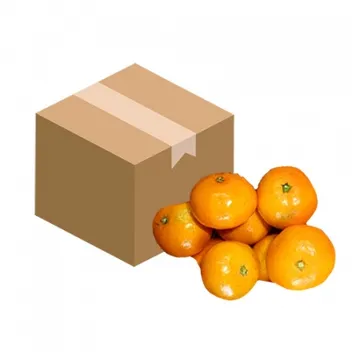 감귤(M_47~60과 5Kg/BOX)/국내산