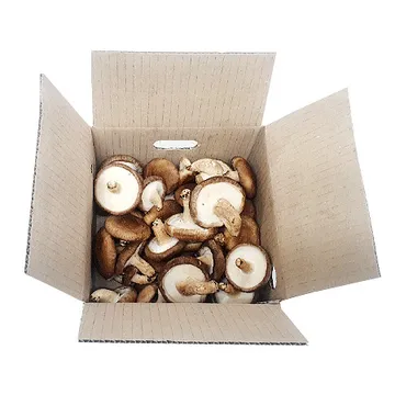 표고버섯(하품 찌개용 1Kg/EA)