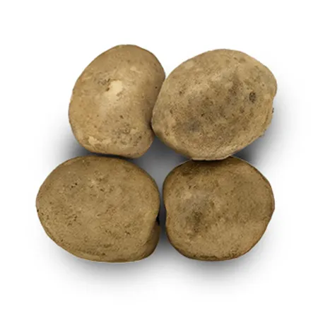 [10%쿠폰] 프레시원 감자 왕왕 (180g이상, 1Kg/EA) 이미지
