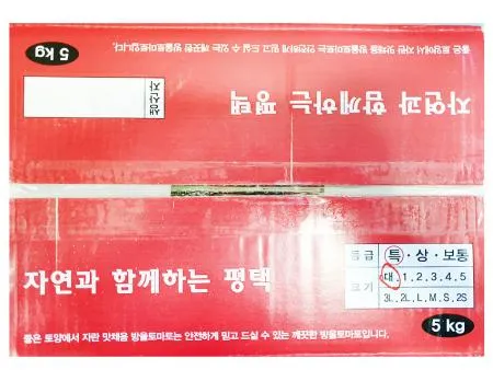 방울토마토(20g이상/개 5Kg/BOX)/국내산 이미지