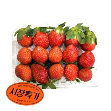 ★매일시장특가★ 딸기 (한정물량 20~25입 500g/EA) 데코용 딸기 베이커리 과일 겨울과일 초특가 카페 생과