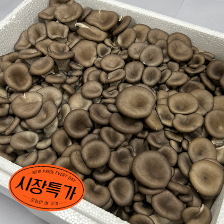 ★매일시장특가★ 느타리버섯(국산 2Kg/BOX) 초특가 채소 야채 국내산 느타리 버섯
