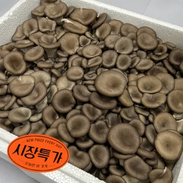 ★매일시장특가★ 느타리버섯(국산 2Kg/BOX) 초특가 채소 야채 국내산 느타리 버섯
