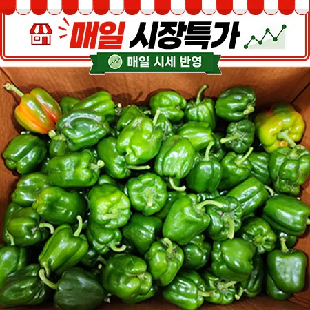 ★매일시장특가★ 청피망 (실속, 10Kg/BOX) 못난이