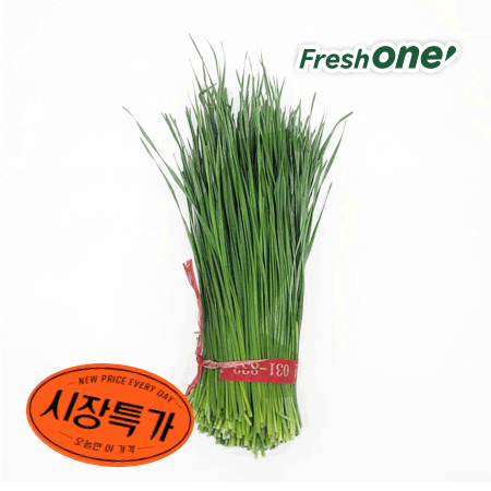 ★매일시장특가★ 프레시원 영양부추 (1단 200g/EA)