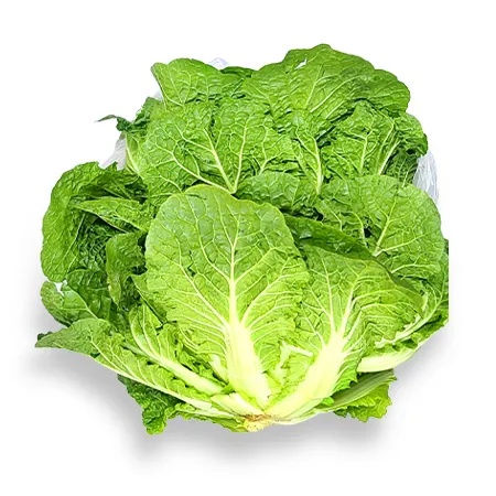 ★매일시장특가★ 프레시원 봄동 1Kg 이미지