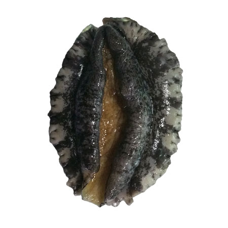 전복(생물_20~23마리/kg KG)/국내산