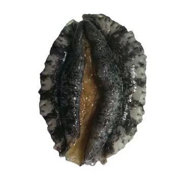 전복(생물_20~23마리/kg KG)/국내산