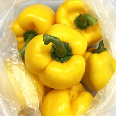 ★매일시장특가★ 노랑파프리카(상 1Kg/EA) 초특가 채소 야채 파프리카 이미지