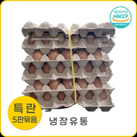★초특가★세양 특란 30입(5판묶음판매용) 계란 세척란 특란