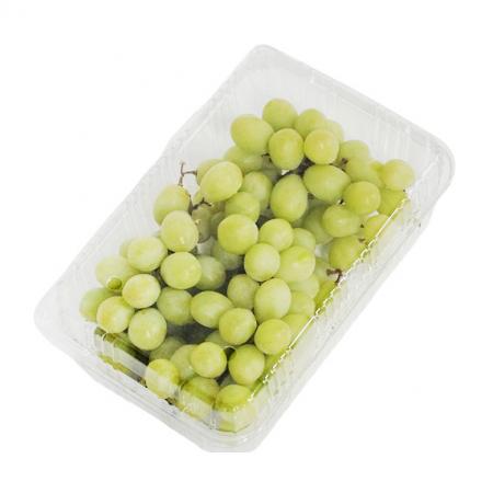 씨없는청포도(1Kg/EA)