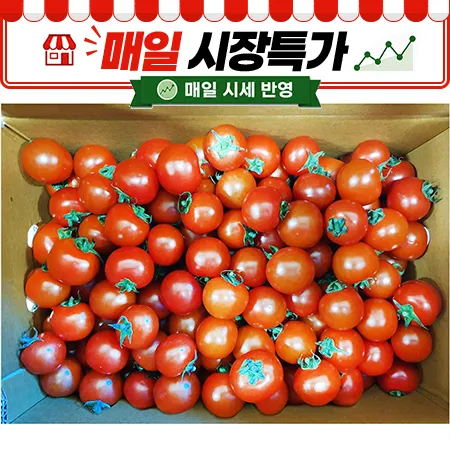 ★매일시장특가★ 방울토마토(15~20g/개 5Kg/BOX)
