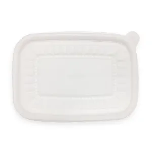 죽용기세트(PP_특대_195*135*80mm_50입 EA)