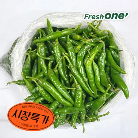 ★매일시장특가★ 프레시원 청양고추(국내산, 상, 1Kg/EA)