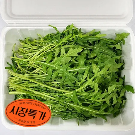 ★매일시장특가★ 와일드 루꼴라(200g/EA) 야채 초특가 로케트 샐러드 와일드루꼴라