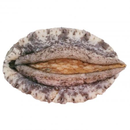 전복(생물_9마리/kg KG)/국내산