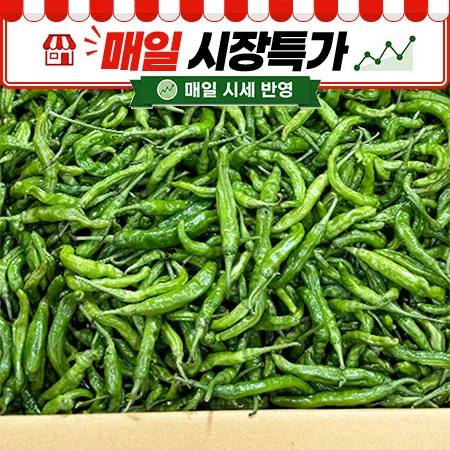 ★매일시장특가★ 꽈리고추(상 4KG/BOX)