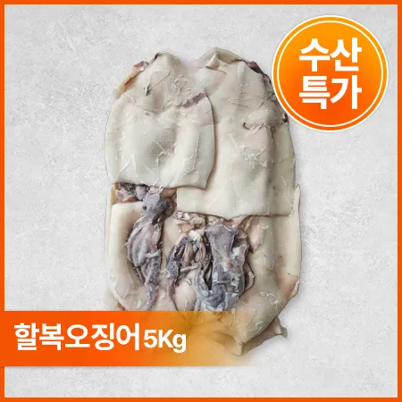 할복 오징어 (5Kg/BOX)