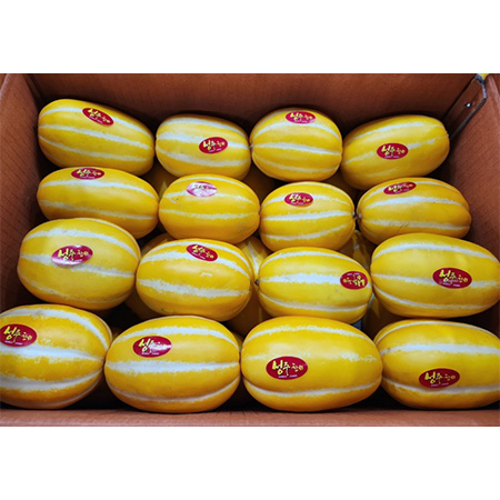 참외(41~50과 10Kg/BOX)
